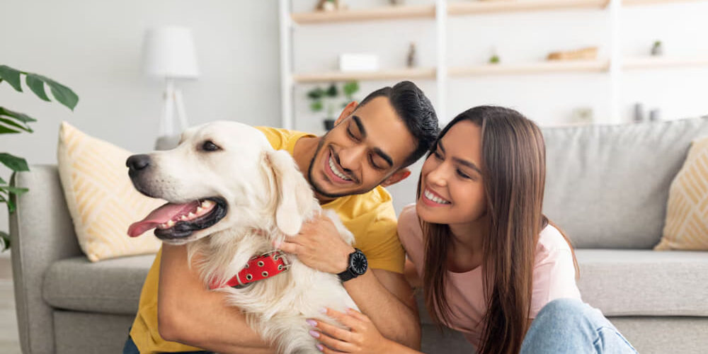 Los pros y contras de alquileres que admiten mascotas