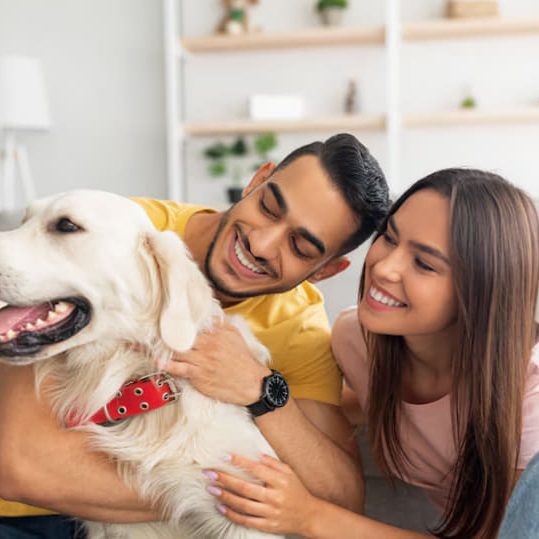 Los pros y contras de alquileres que admiten mascotas