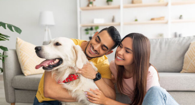 alquileres-y-mascotas Los pros y contras de alquileres que admiten mascotas