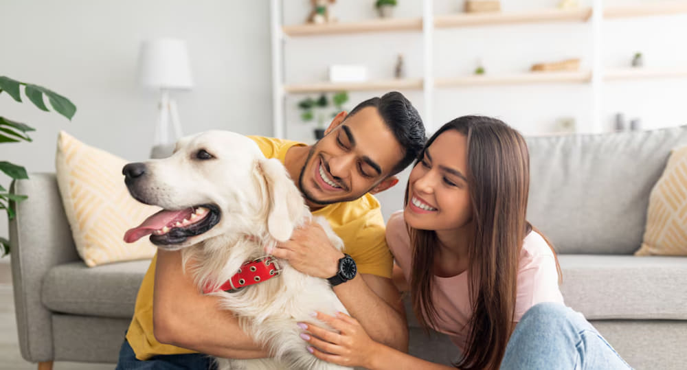 Los pros y contras de alquileres que admiten mascotas